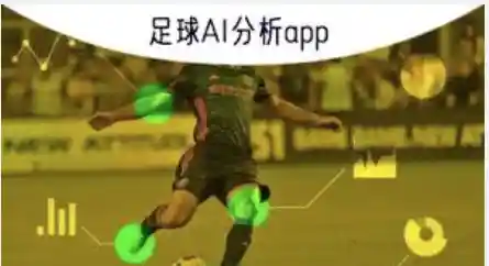 jinnianhui中国区资料指南
